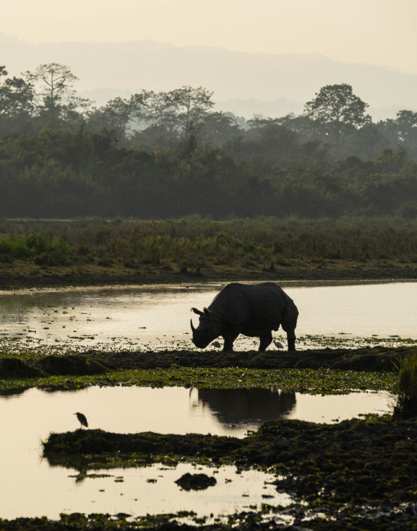 Chikolongo community provides rice to wildlife rangers